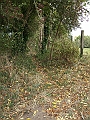 futur trail 032